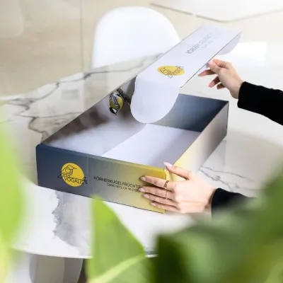 hinged box as DHL M parcel