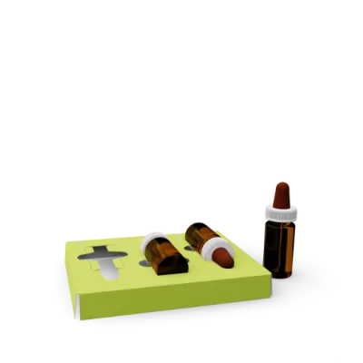 Inlay / Kartoneinlage