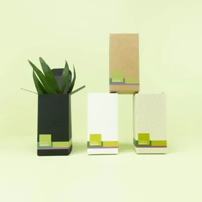 Faltschachtel Muster