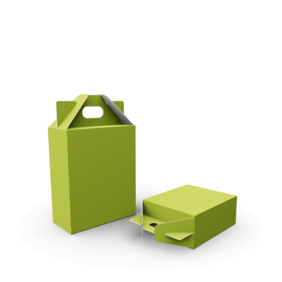 Carry handle boxes